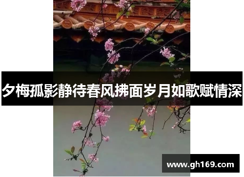 夕梅孤影静待春风拂面岁月如歌赋情深