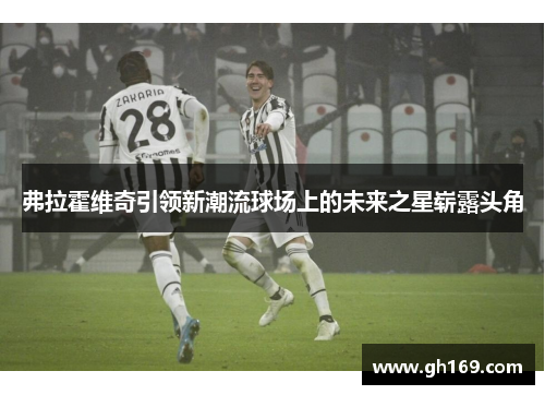 弗拉霍维奇引领新潮流球场上的未来之星崭露头角